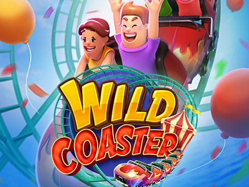 Wild Coaster game cover